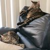 sleepyandsane13