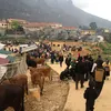 anhcholon