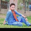 ptikha5
