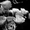 _s1tellaa.____