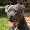 loufoqueadonfe