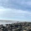 kinlinna_0