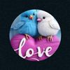 monaahmed3297