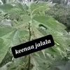 user51071209394525