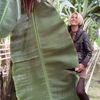 olga_rass1