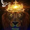 blkprince11