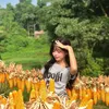 nguyenhang_108