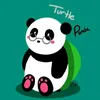cik.turtle