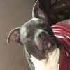 loverescue2
