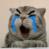 vuithifdang