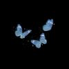 alaa_mohamed161