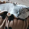 claudiak000