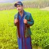 sirajrindbaloch786