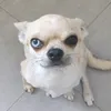 himbeersalz