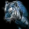 tiger_mcmlxxxvi