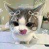 raaaa_imout12