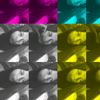 _chiciwww