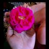 rabiadeel45