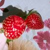 heyby.1