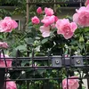 tukta5636