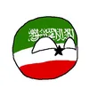 kawsarahmed040