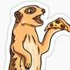 TimonMeerKat20