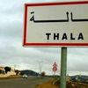 sabrisabri8565