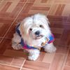 milo_01235