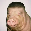 hdag1205