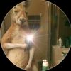 kevinanderson_xd_50