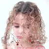 dy7cmv1krz21