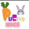 puchonicerd
