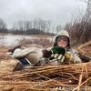 duckretriever36