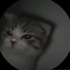 chubby_totooth