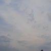 luhtwizzy021