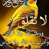 dyrzf01kvvx707705796260