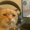 cellphoneninoel97