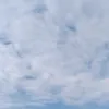 biie_10