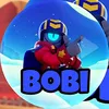 bobi_bs_