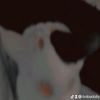 p00kies_033