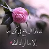 lailalay333