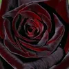 user4713927686047