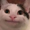 thatleadpaintstare