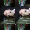 rarasakunke2