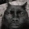 davi.henriqu3