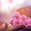 dtthuhoai_2405
