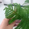 abcdtoseba30