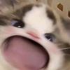 uwong_441