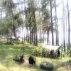 _rumah_tanpa_pintu