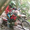 tunutt34